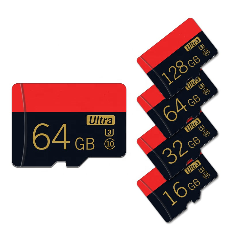 Scheda di memoria Micro SD